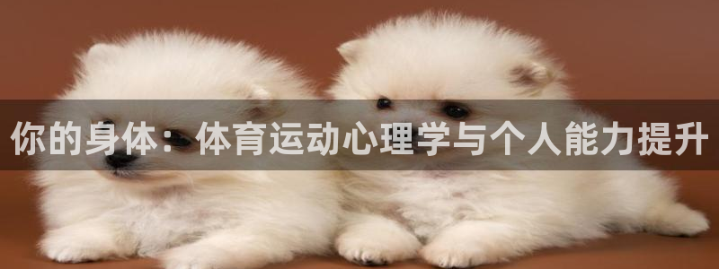 意昂3体育合法嘛