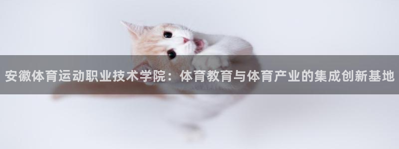 东莞市意昂3电子科技有限公司