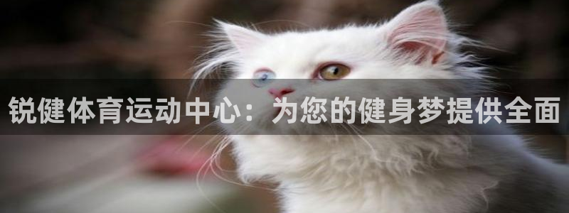 意昂3凯捷平台注册链接