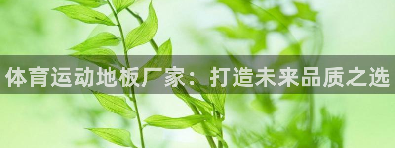 意昂3体育官网入口登录