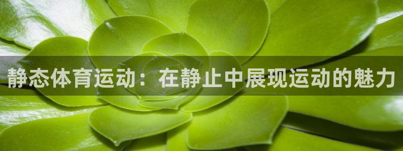 意昂3f凯捷平台在线注册