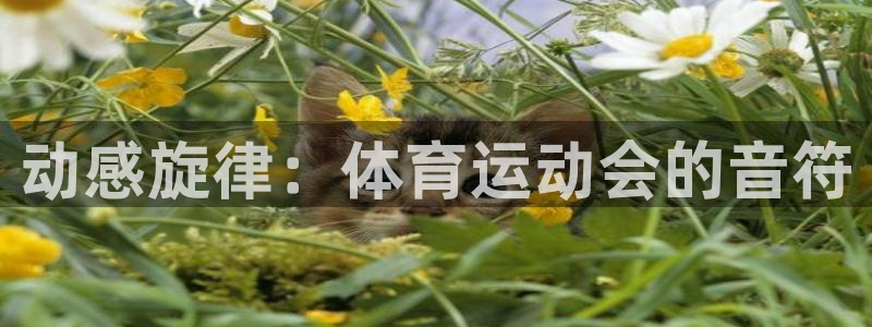 意昂3体育凯捷平台主管