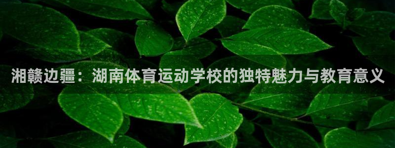 意昂3体育注册平台