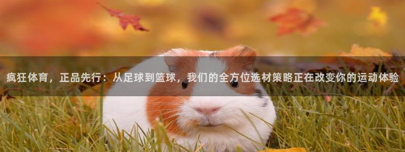 意昂3体育用品