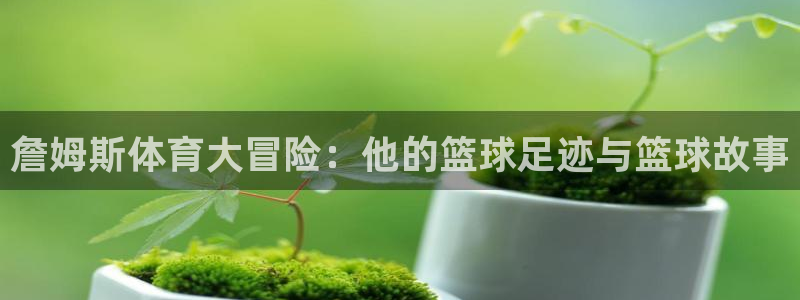 意昂34平台注册