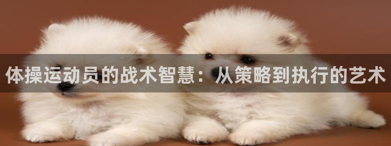 德国意昂3集团