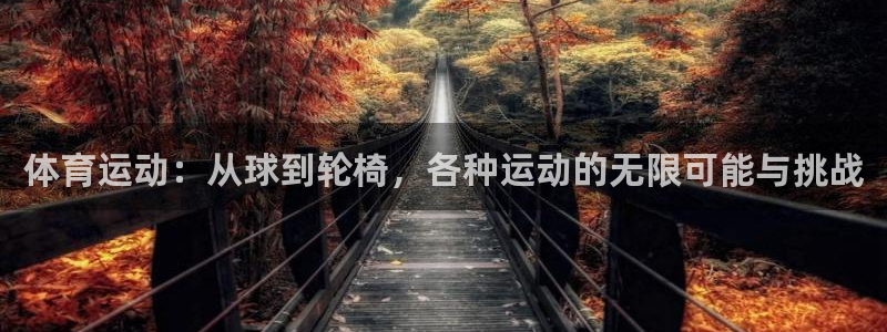 意昂33官网