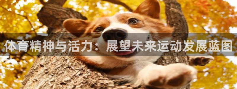 意昂32平台
