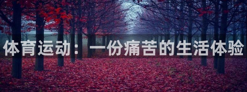 意昂3体育游戏