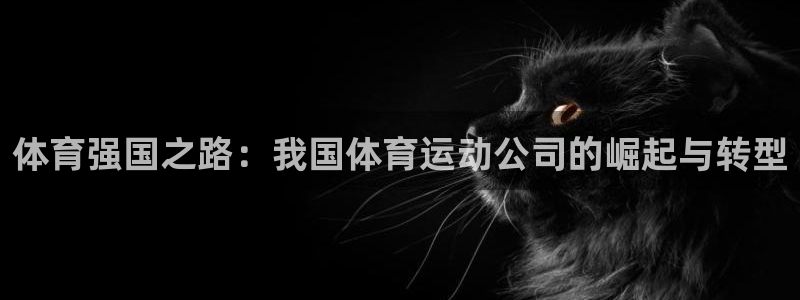 意昂3平台开号链接