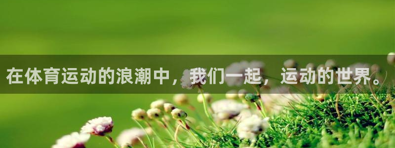 意昂3体育网页版入口
