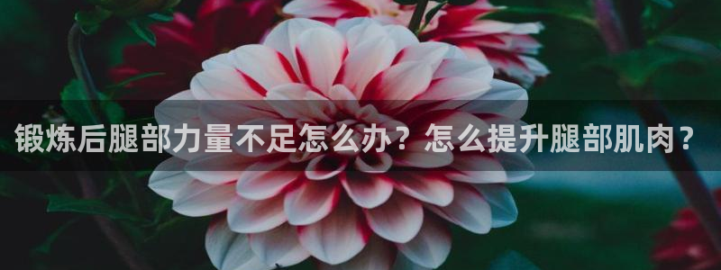 意昂3包怎么样