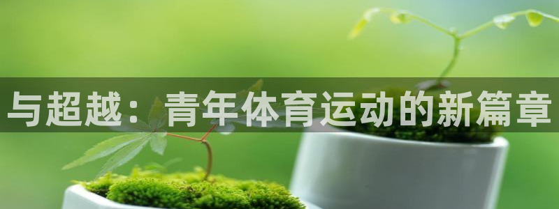成都意昂3电子有限公司