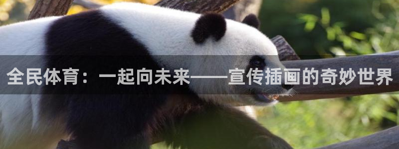意昂32注册