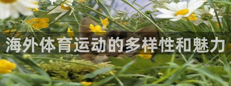 东莞市意昂3电子科技有限公司