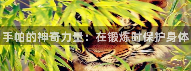 意昂3体育用品