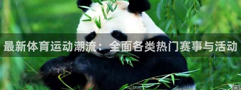意昂3平台主管