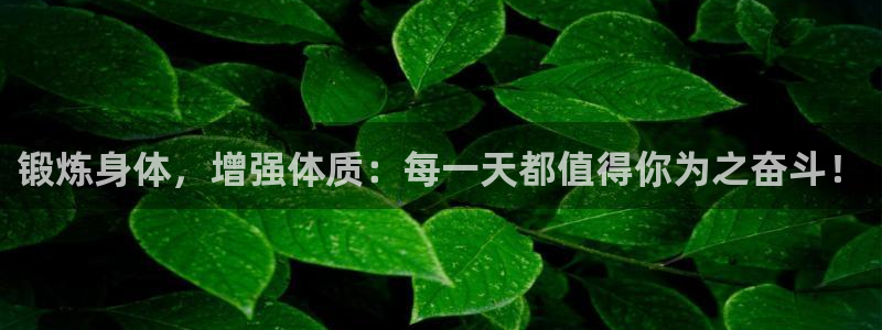 意昂3体育网页版入口