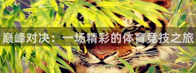 意昂3体育注册代理